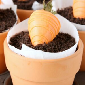 Springtime Dessert Pots | Treat | Garden Carrot | Dessert Recipe