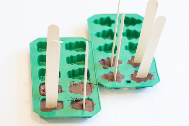 Melted chocolate poured into a green silicone mold with added popsicle sticks